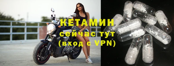 прущие грибы Балахна