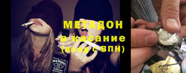 прущие грибы Балабаново