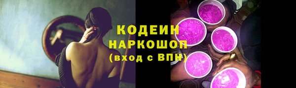прущие грибы Балахна