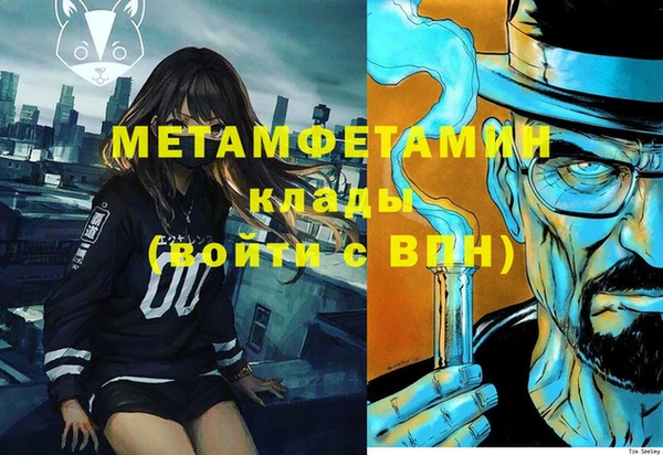 прущие грибы Балахна