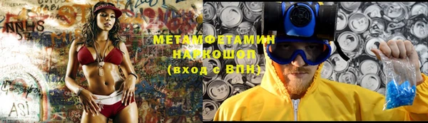 прущие грибы Балабаново