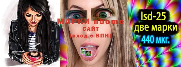 прущие грибы Балахна